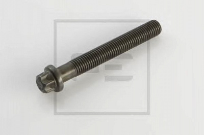 PE AUTOMOTIVE 03006900a -  Болт головки цилиндра